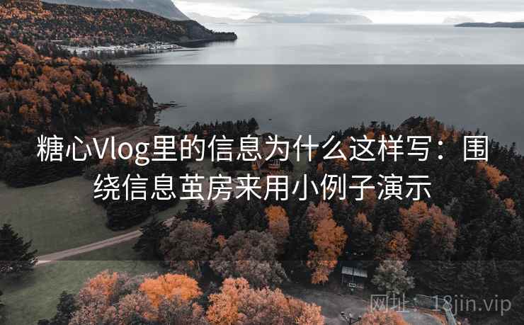 糖心Vlog里的信息为什么这样写：围绕信息茧房来用小例子演示